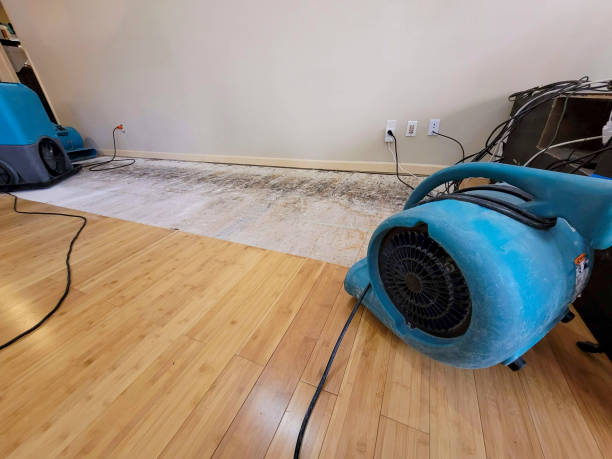 Professional Burst Pipe Water Damage technician working in Rogers, ND
